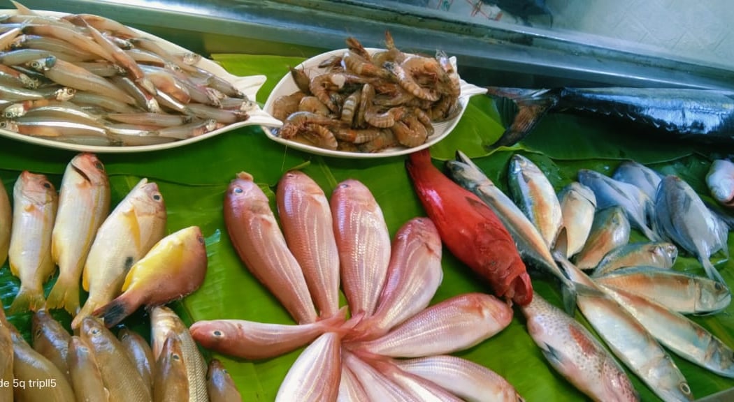 Fins and slice sea fish and sea fish restaurant 1