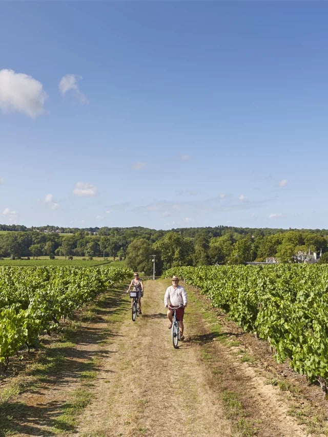 SPANC Vignoble nantais 1