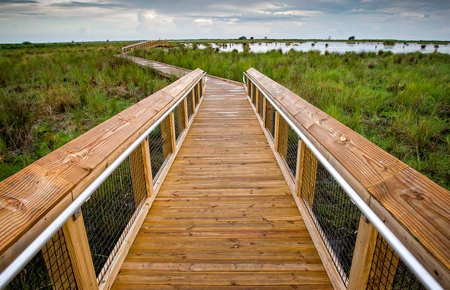 Fontainebleau State Park 3