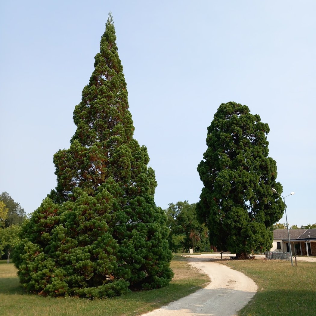 Parc de Bel Air 3