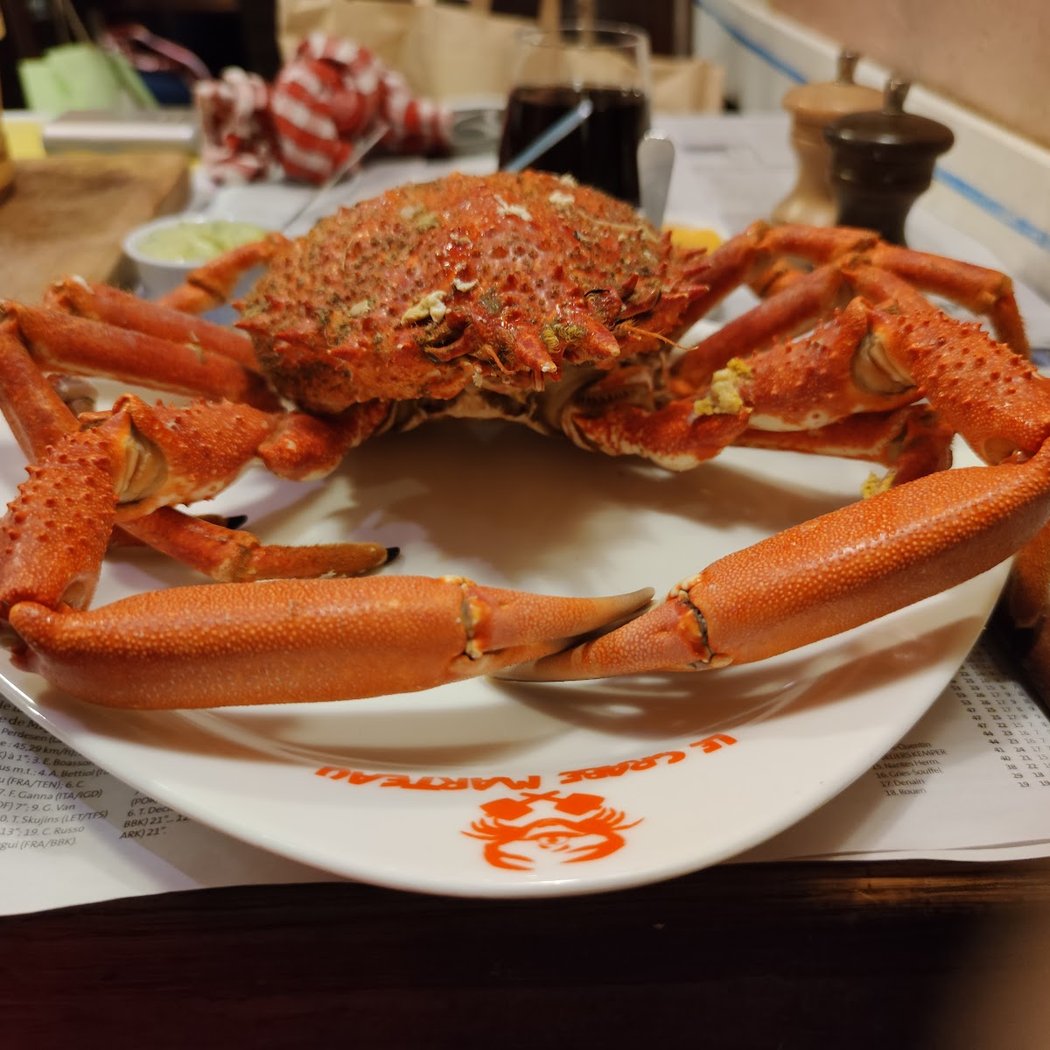 Le Crabe Marteau 3