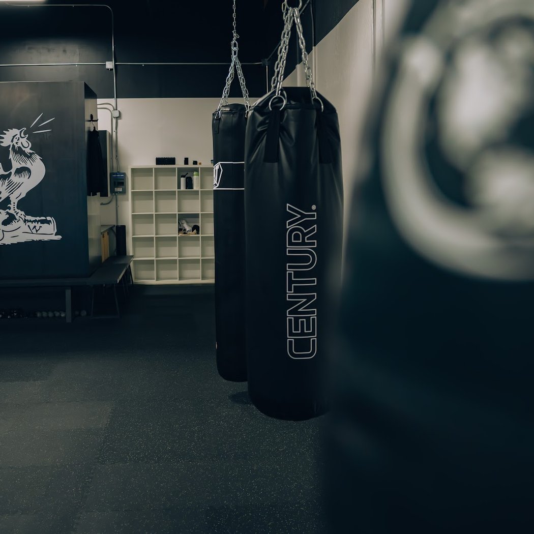 Gallos Gym - Boxing, Muay Thai & MMA 2