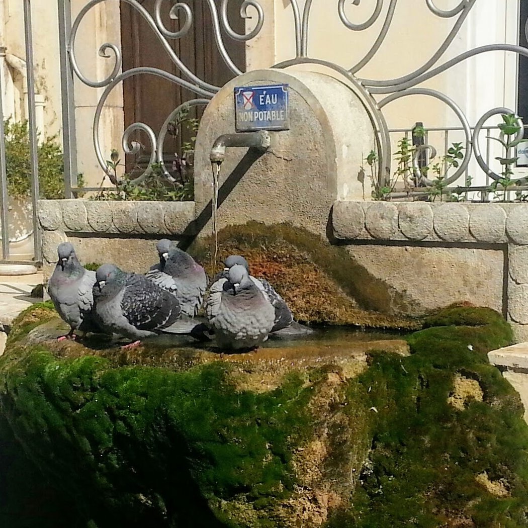 Le Luc 2