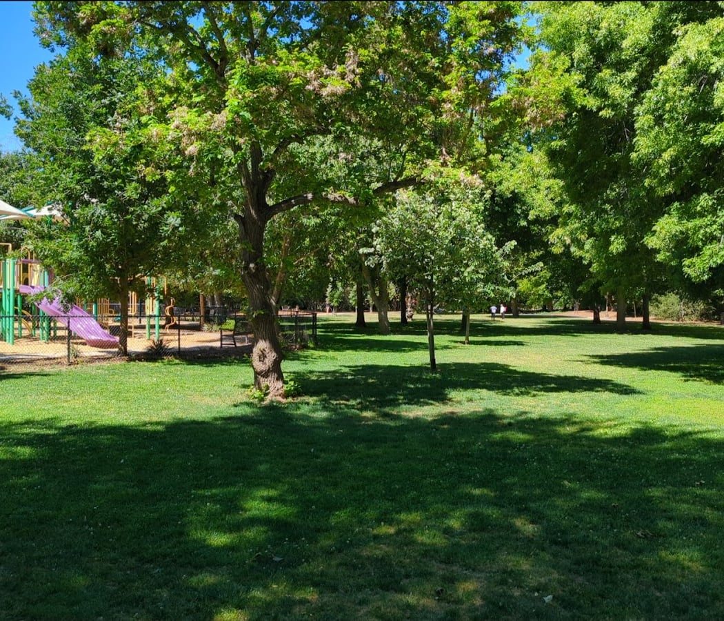 Seminary Oaks Park 1