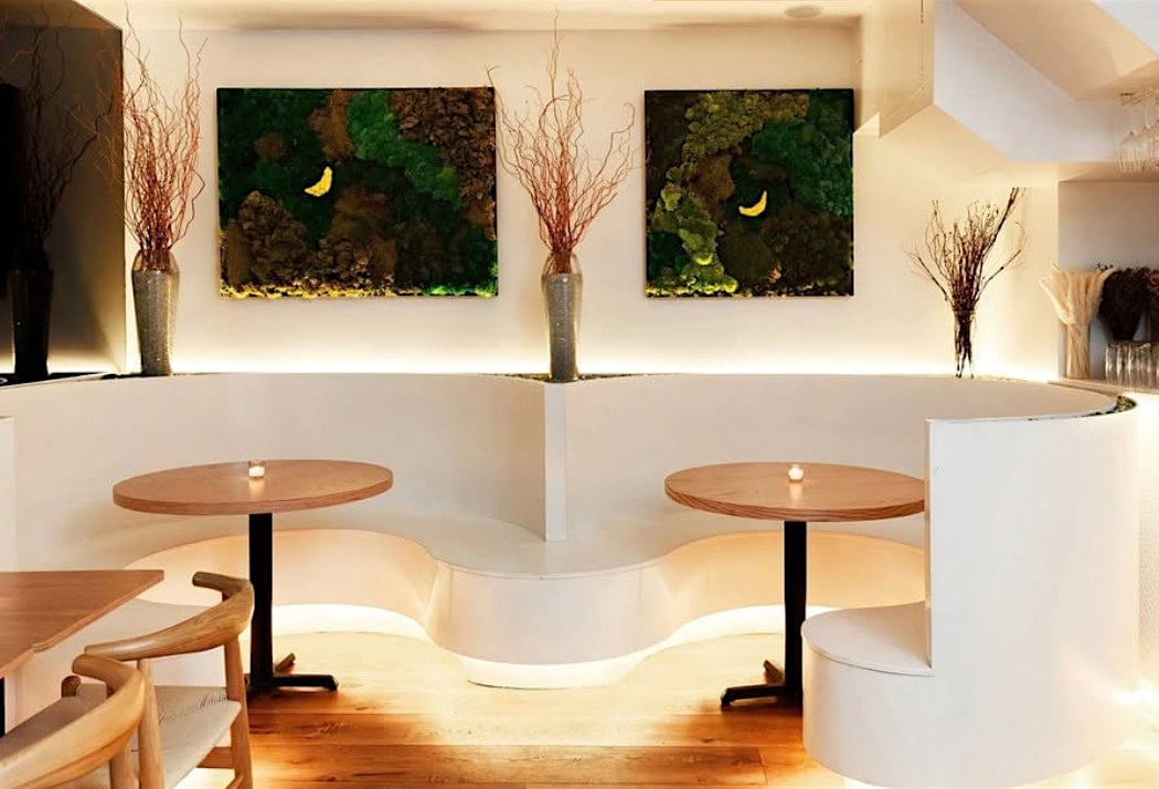 East & Southeast Asian / Asian-American High-End Singles Mixer