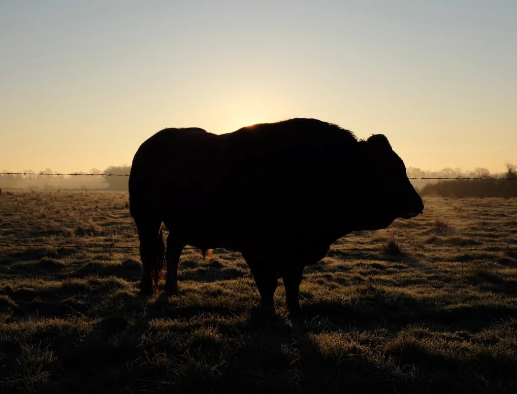 Une Odyssée en terre agricole 1