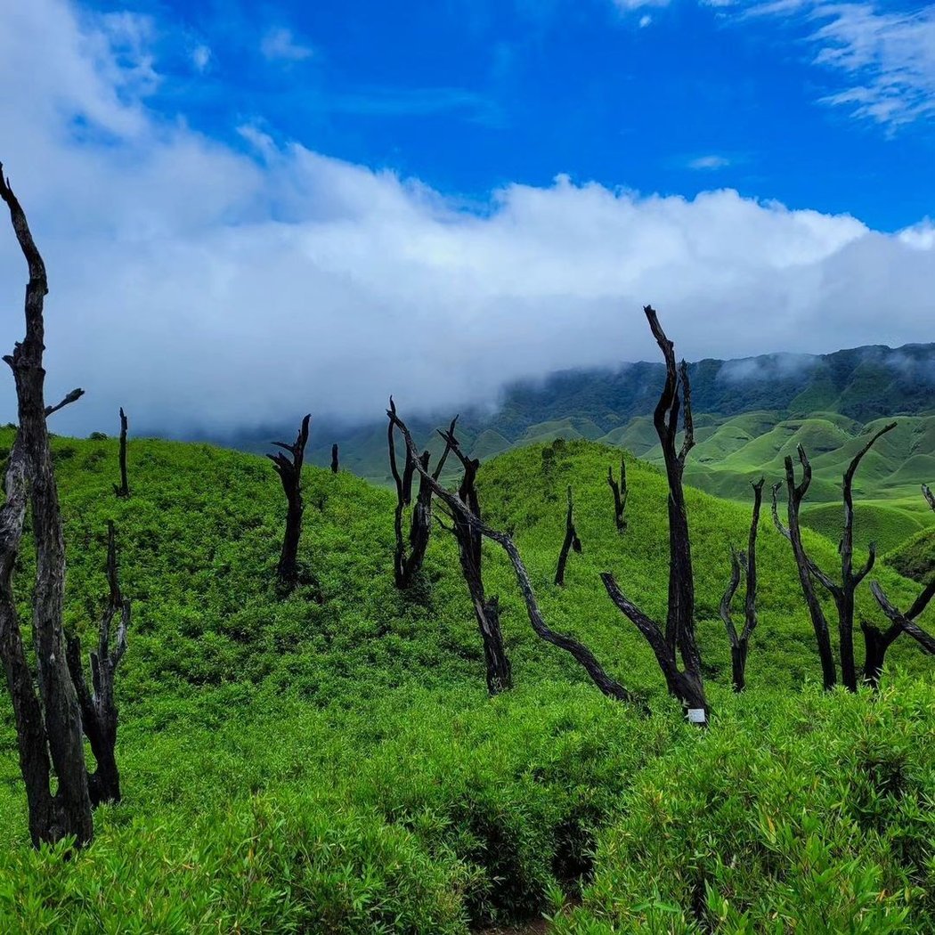 Dzukou Valley 1