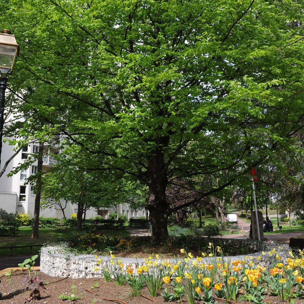Parc de Lattre de Tassigny 3
