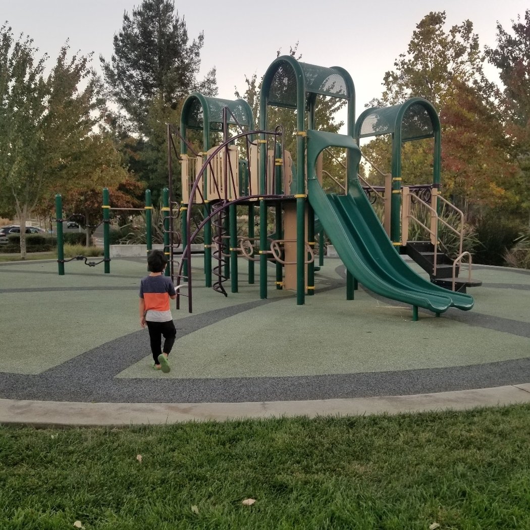 Frog Pad Park 2