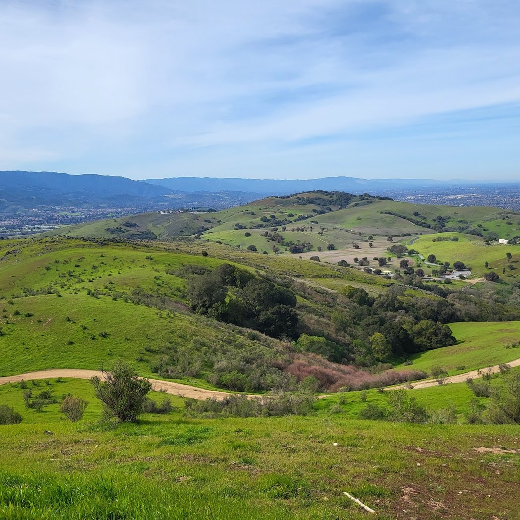 Santa Teresa County Park Wildflower Viewing 3