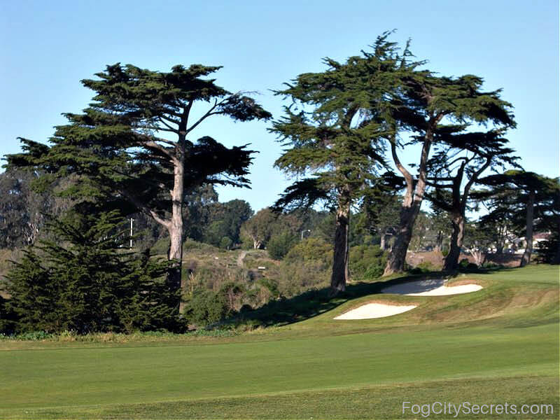 Lake Merced Park 2