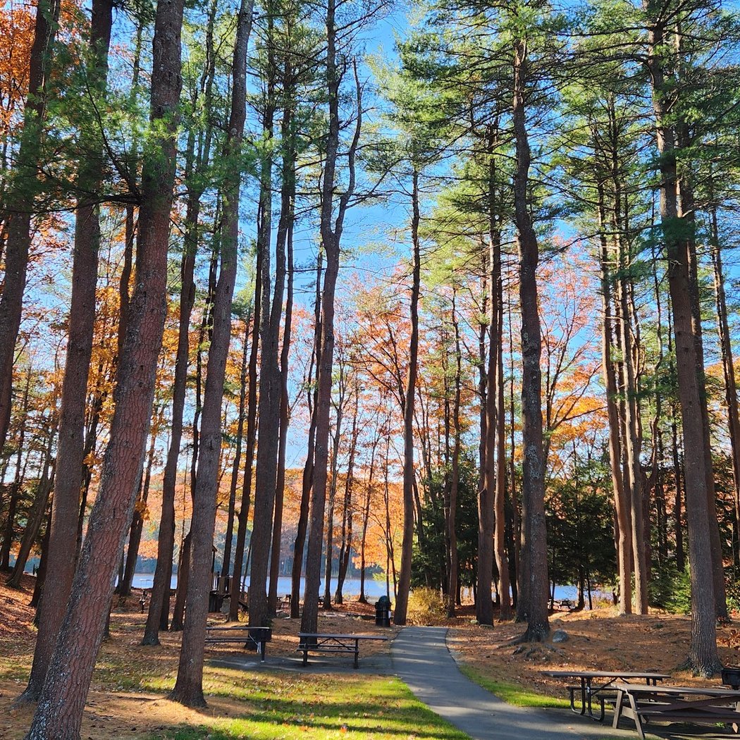 Dunn State Park 1