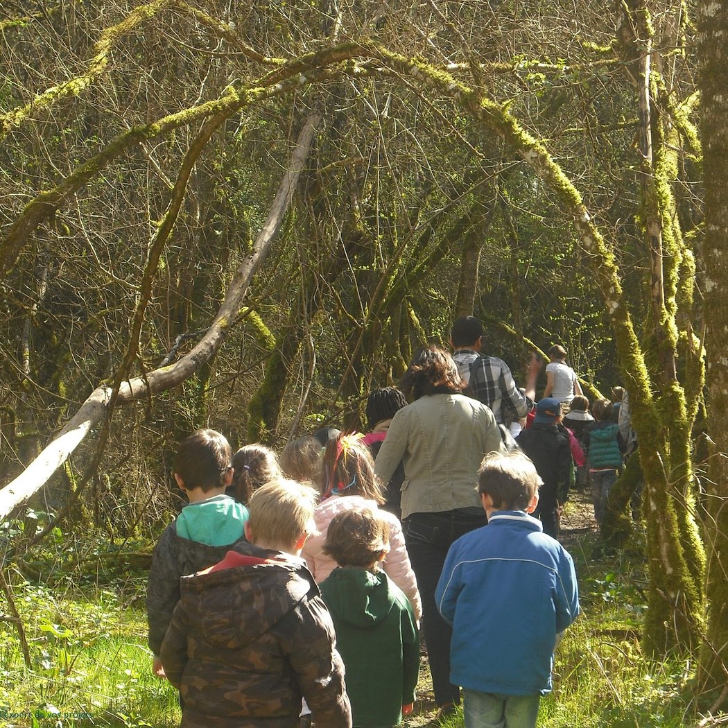 Ateliers nature et escape game 1