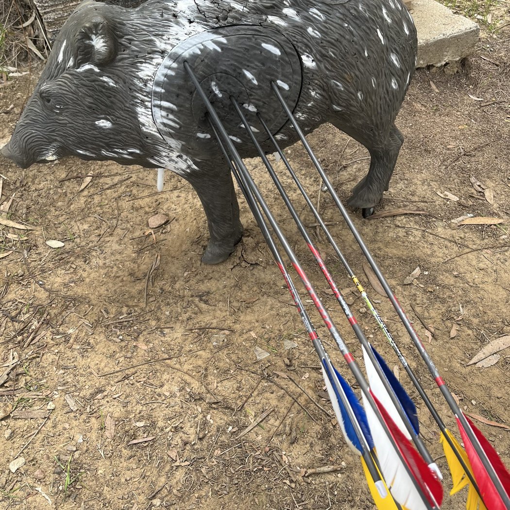 Rube Powell Archery Range 3