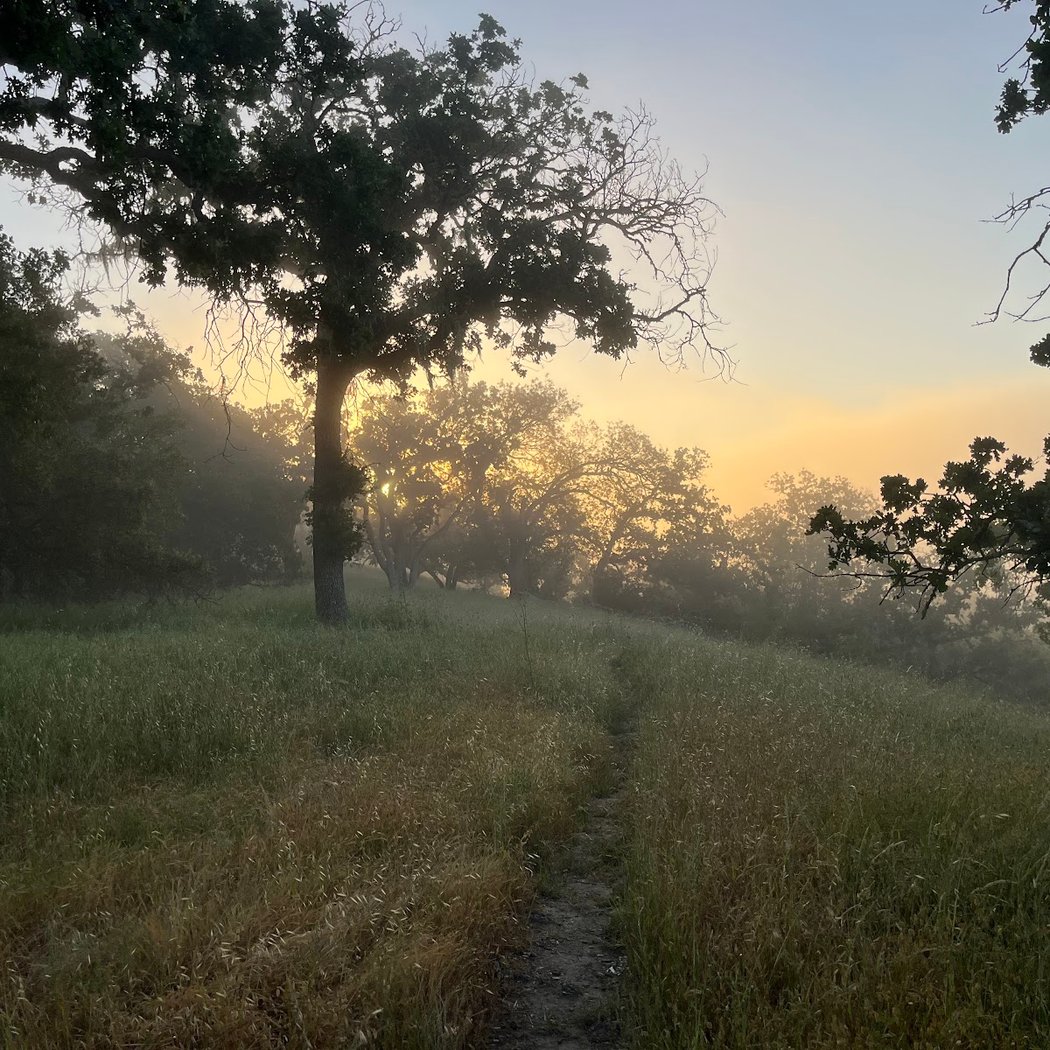 Rush Creek Preserve 1