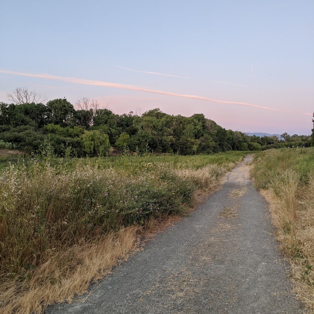 Coyote Creek 2