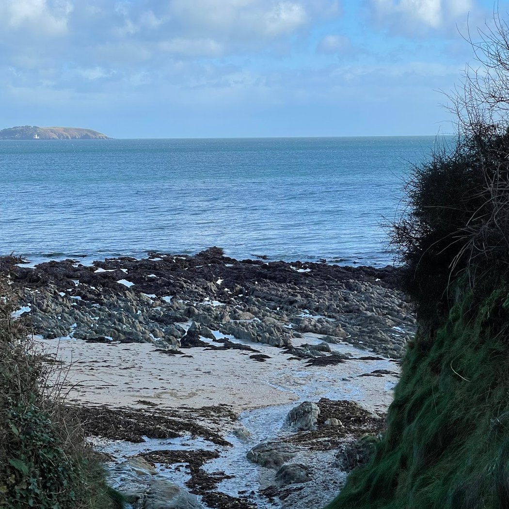 Bream Cove 3