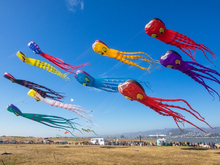 Berkeley Kite Festival 1
