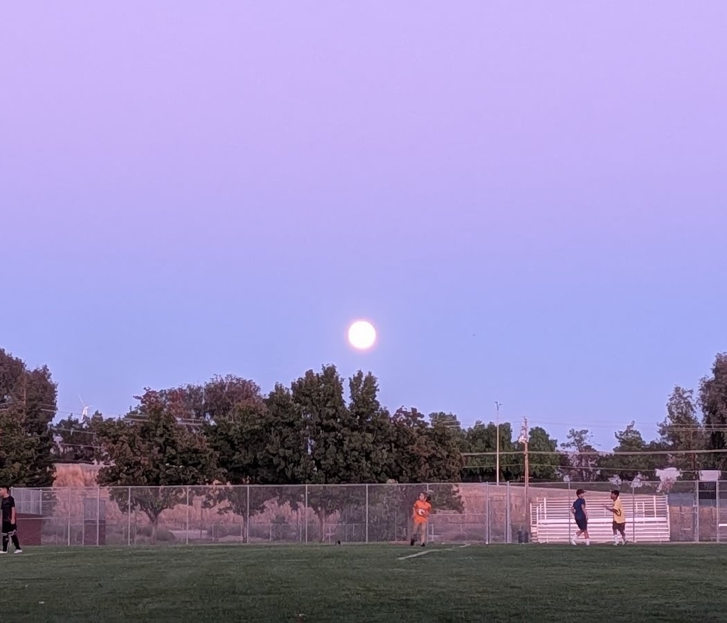 William Payne Sports Park 2