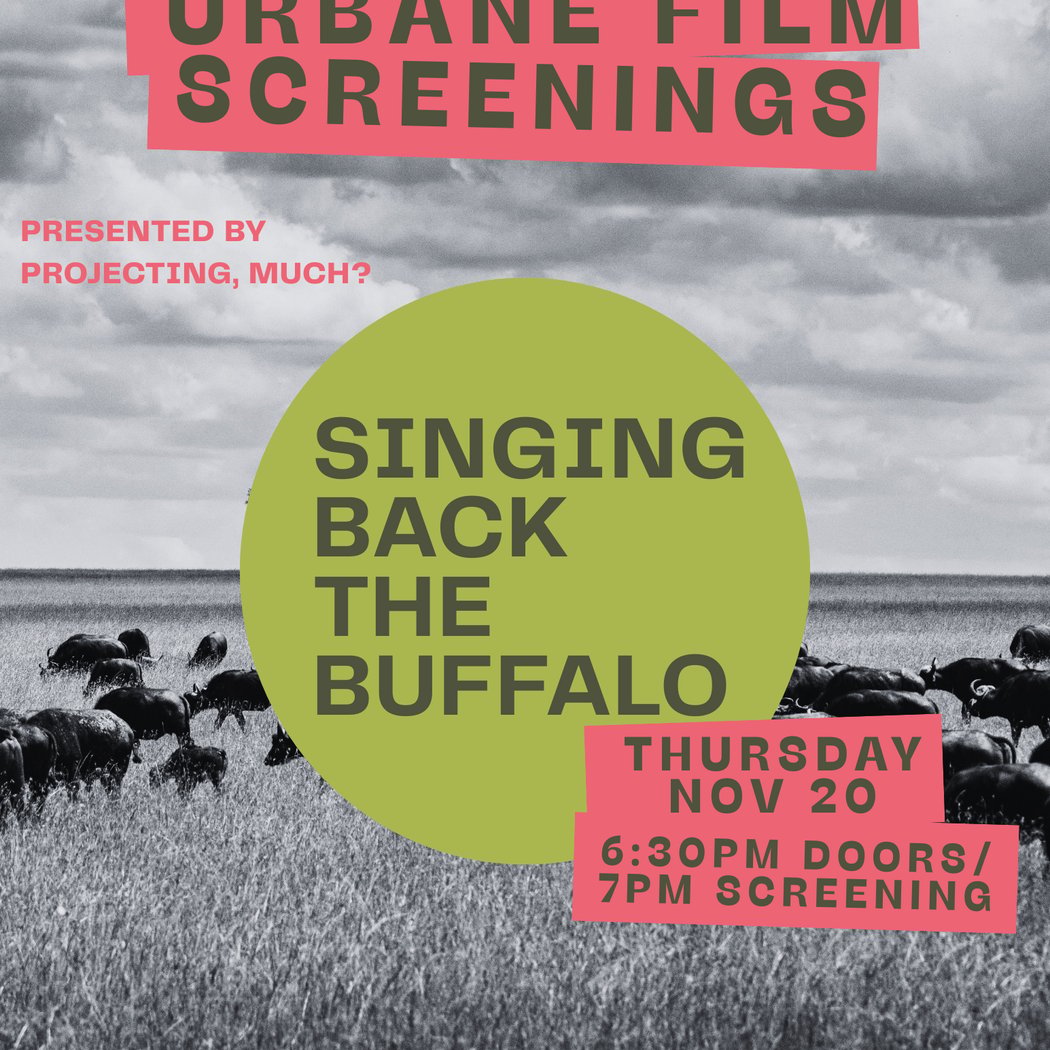 Singing Back the Buffalo Screening 1