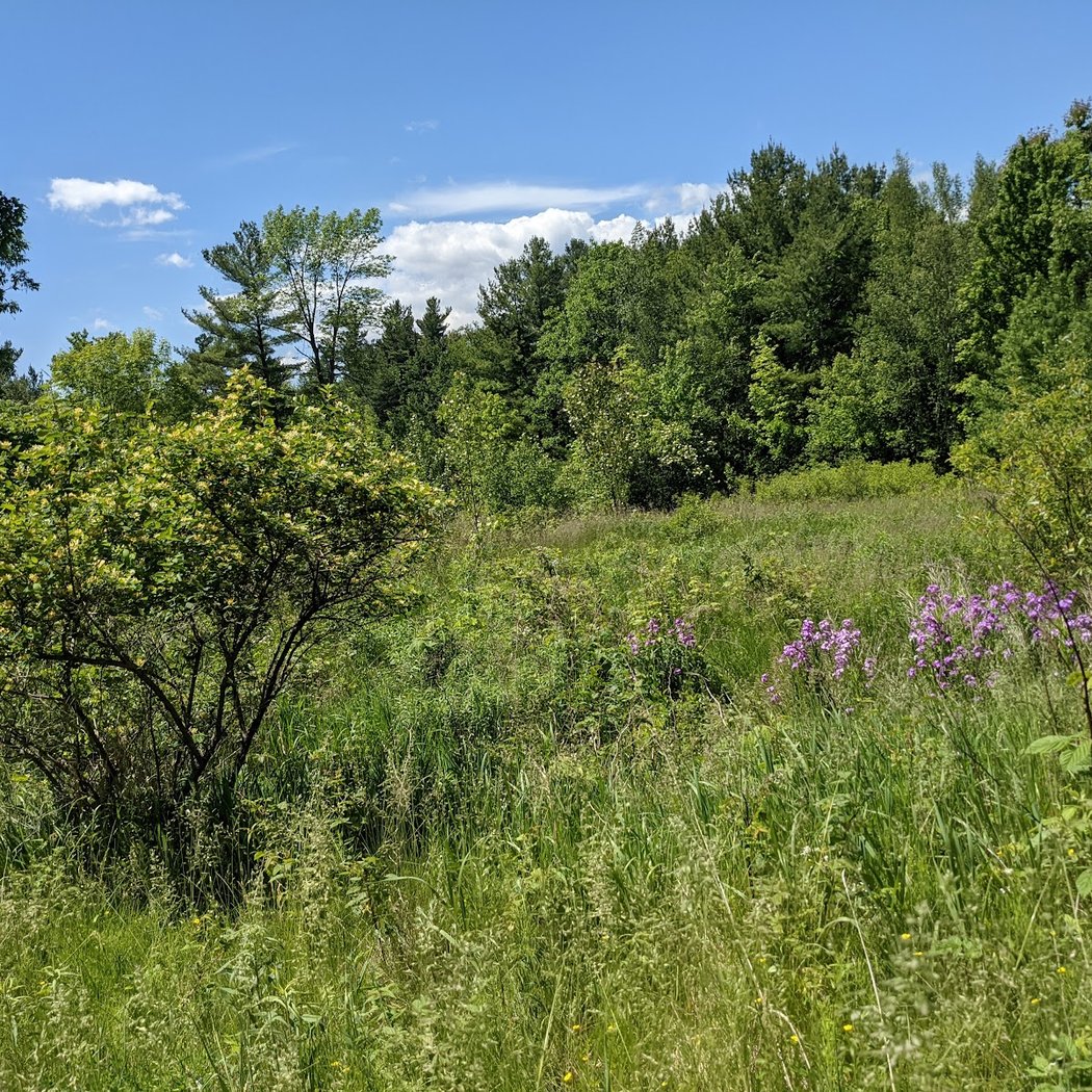 Carnegie Bay Trail 3