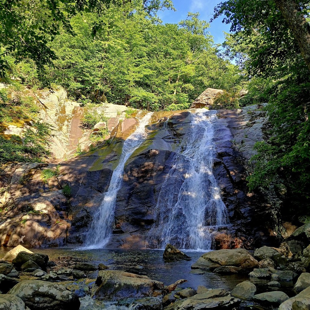 Whiteoak Canyon Trail 1