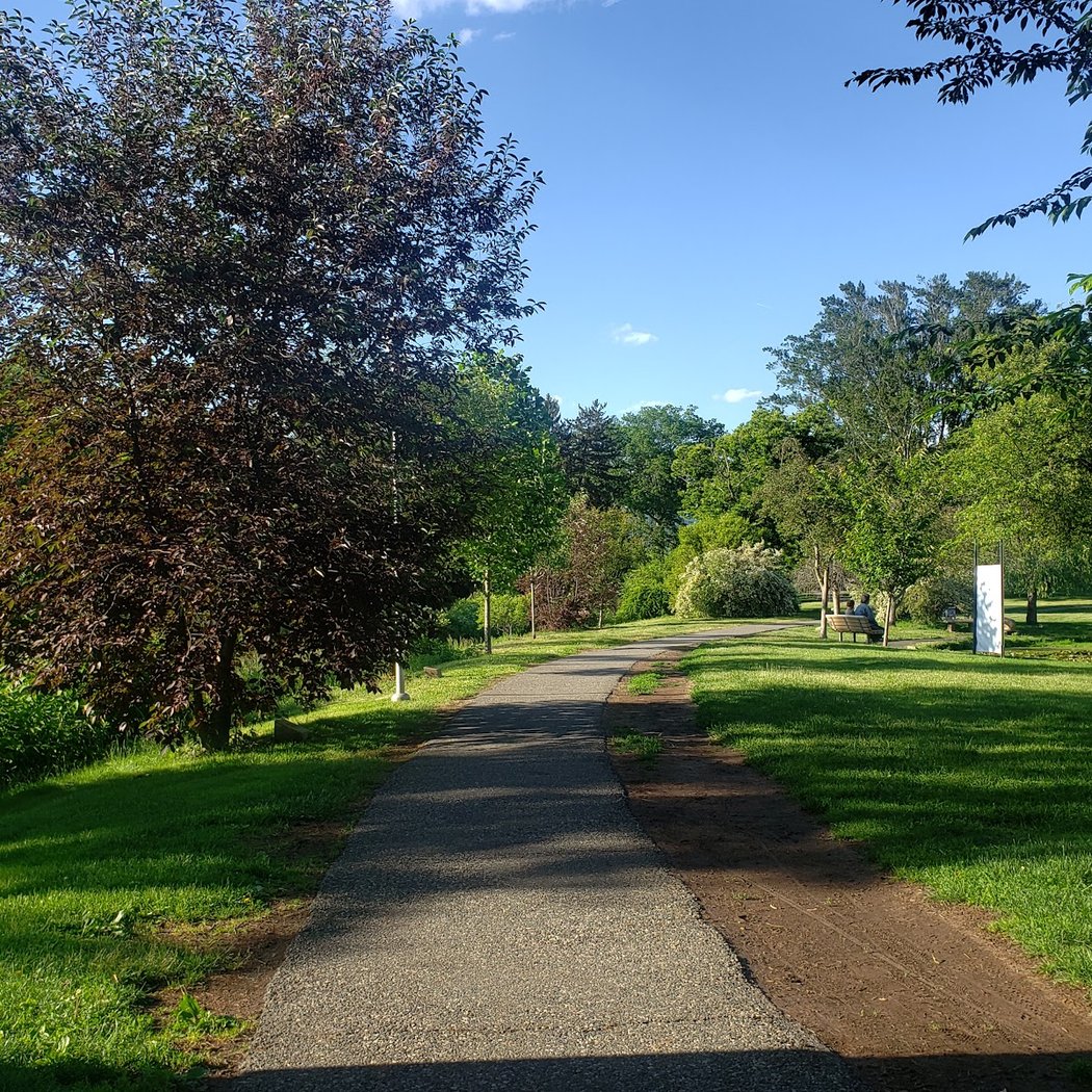 Memorial Park 3