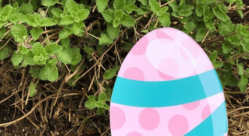 Trinity Grace Church’s Annual Easter Egg Hunt 1