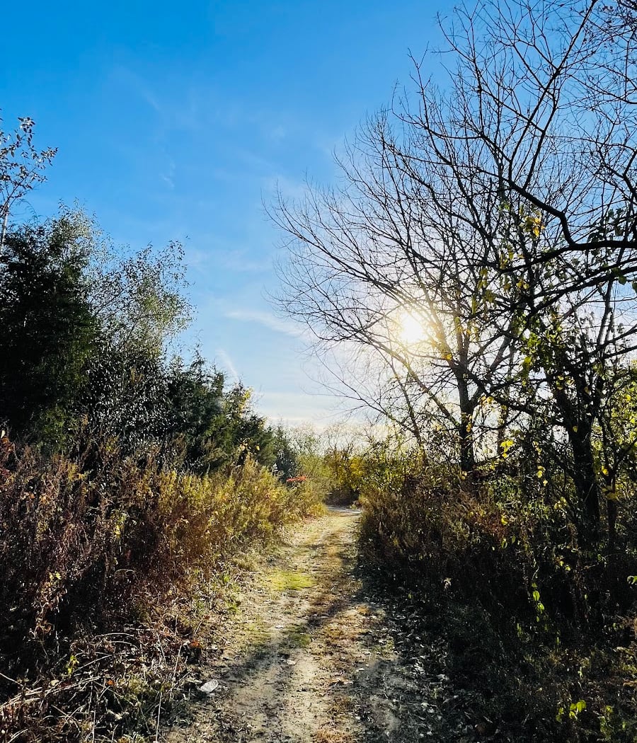 Canarsie Park Hiking Path 1