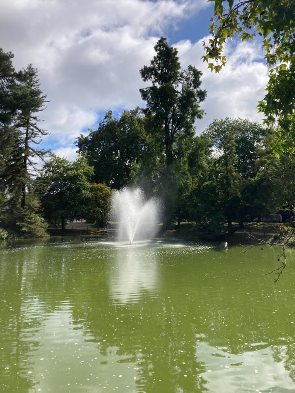Bois de Clamart 2