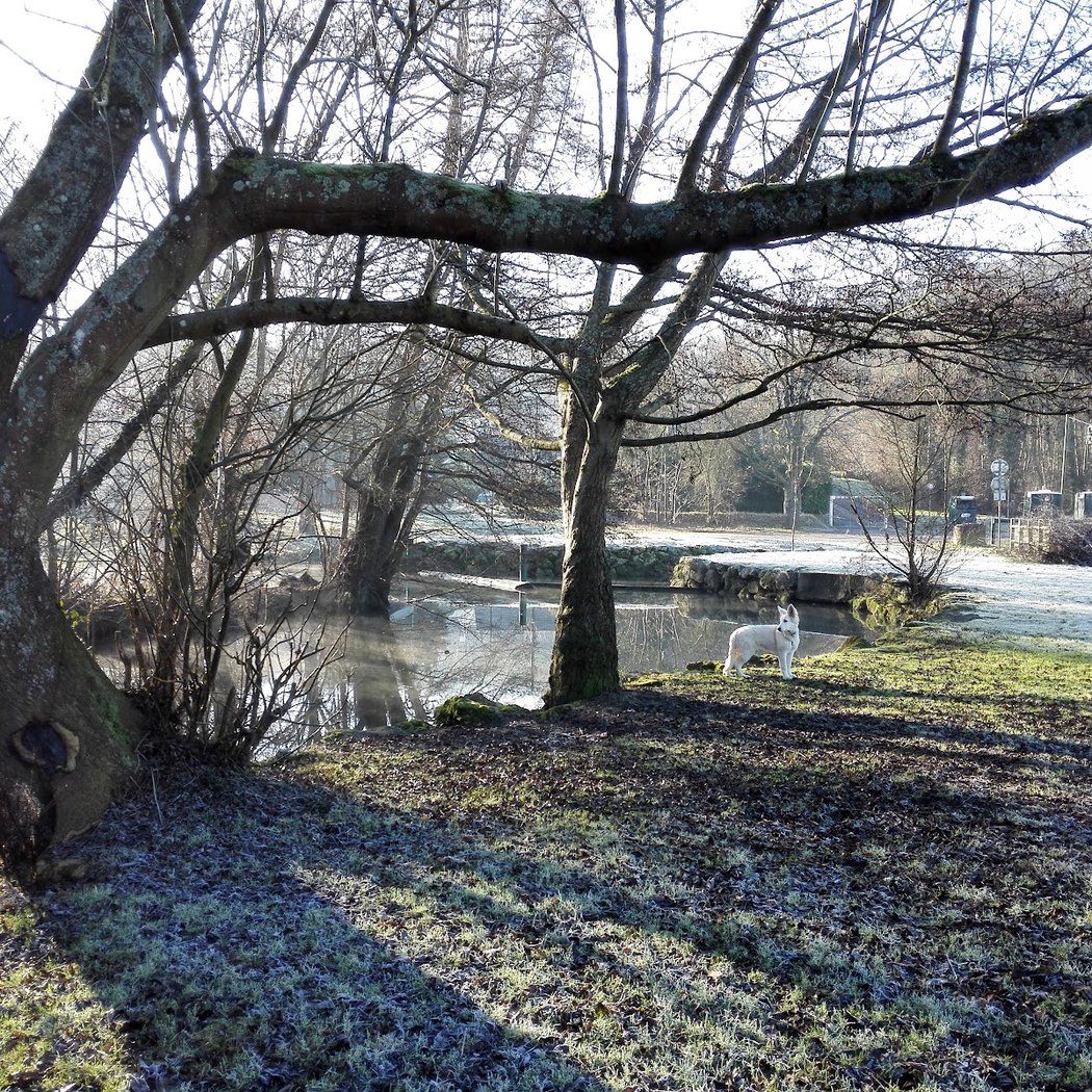 L’Yerres se refait une beauté 3