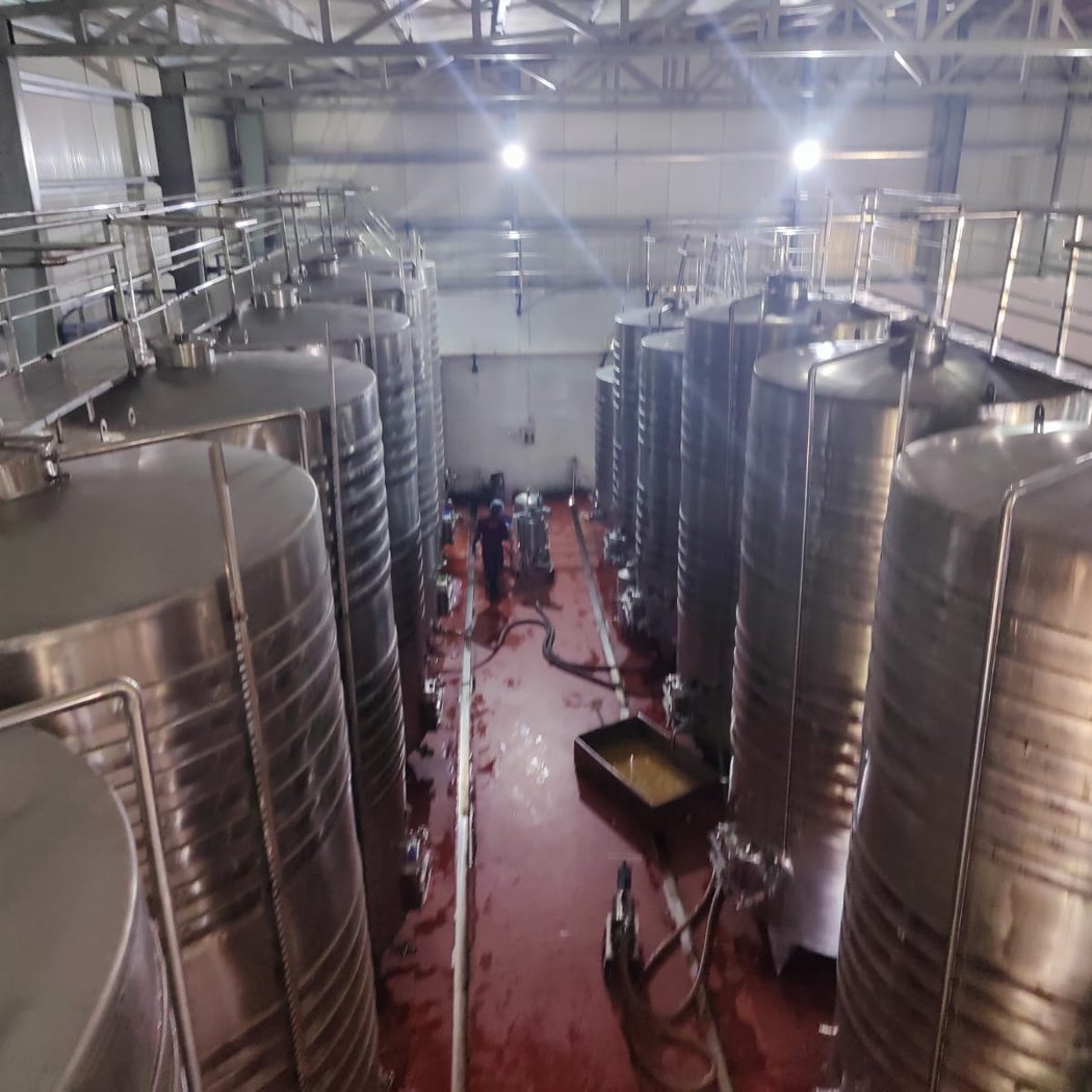 Rico Wine Park & Vineyards 2