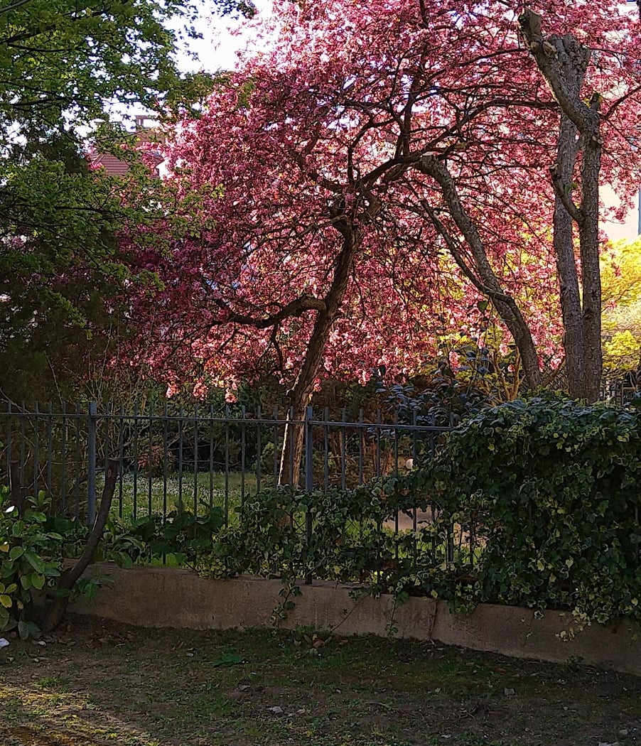 Square De La Paix 1