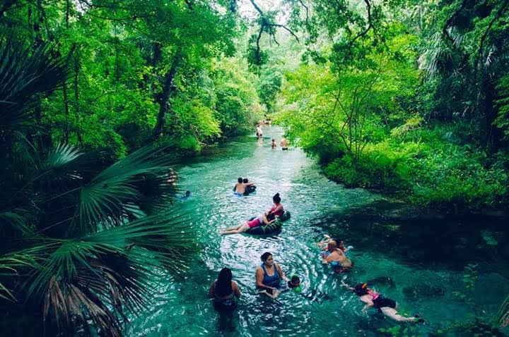 Kelly Park - Rock Springs 1