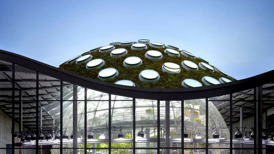 California Academy of Sciences 5
