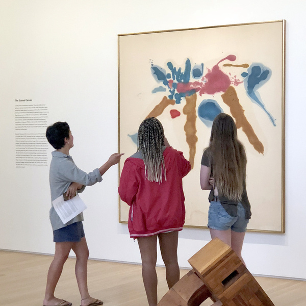 Highlights Tour | Anderson Collection 1