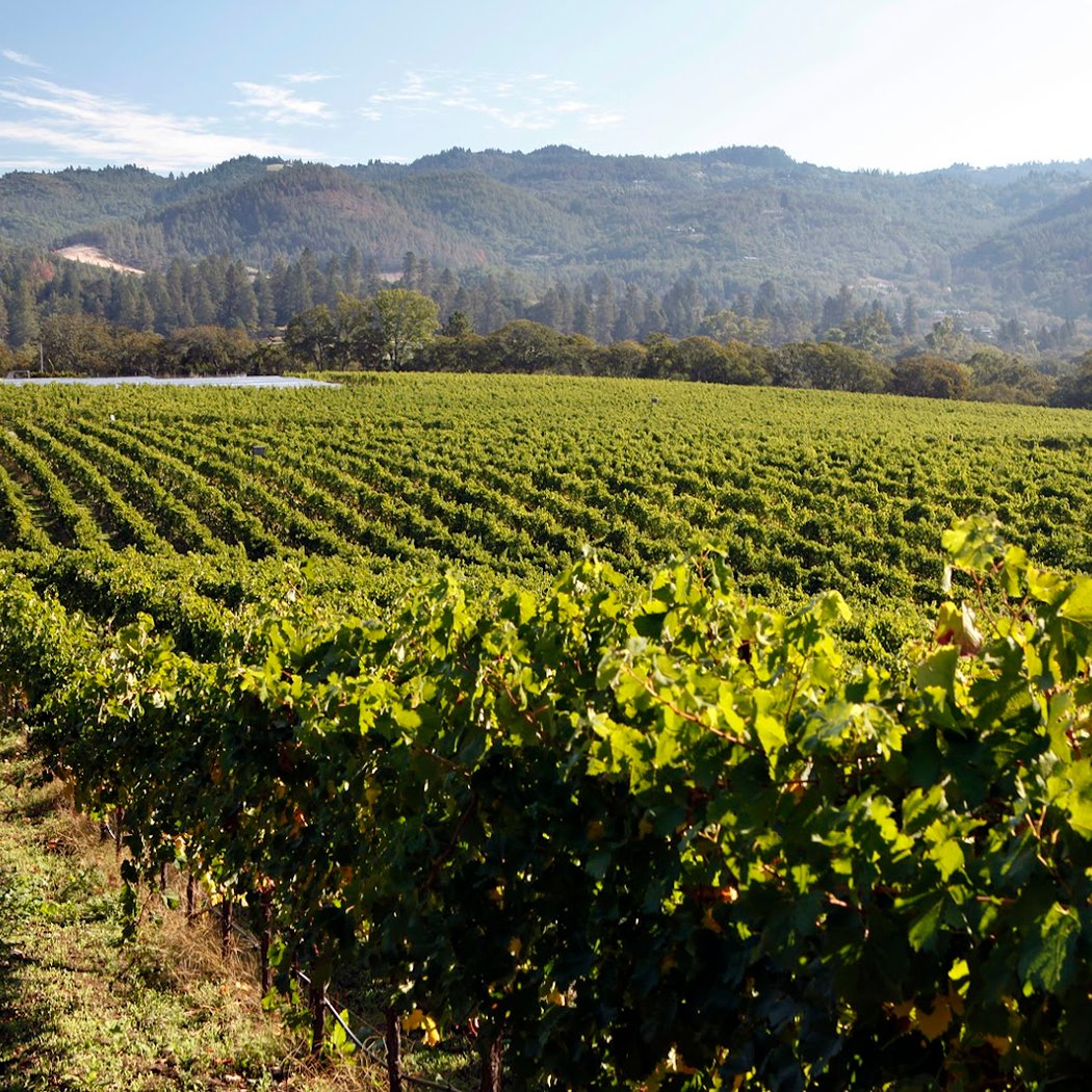 Lasseter Family Winery 3