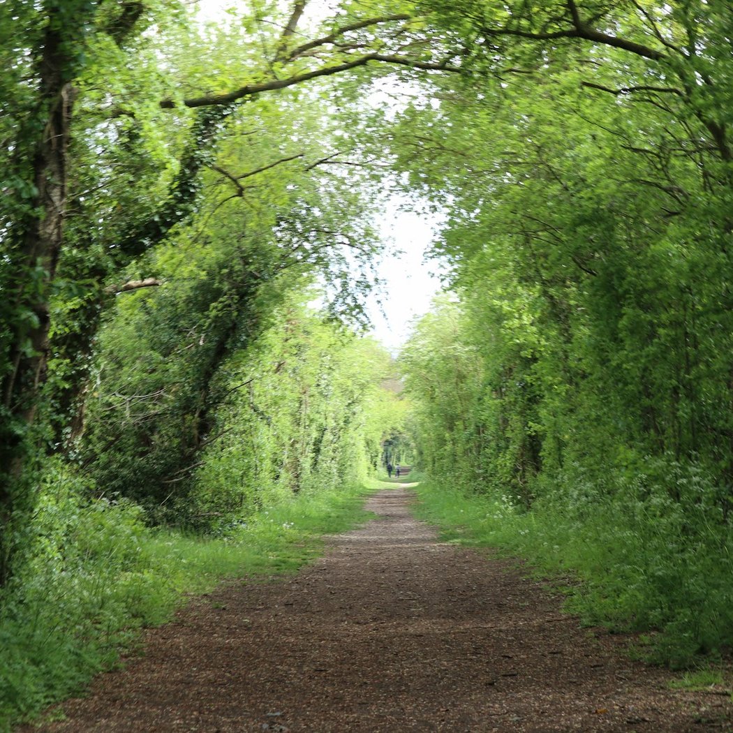La Coulée Verte par Bacouel-sur-Selle 1
