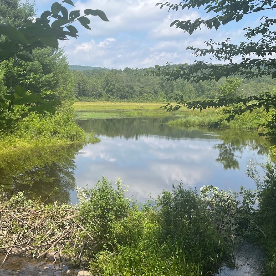 Frick Pond Loop 2