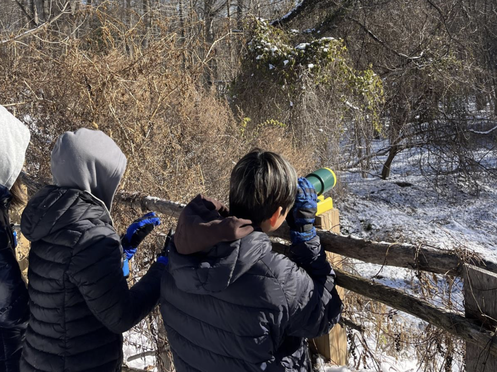 Wednesday Workshops for Kids: Winter Birding 1
