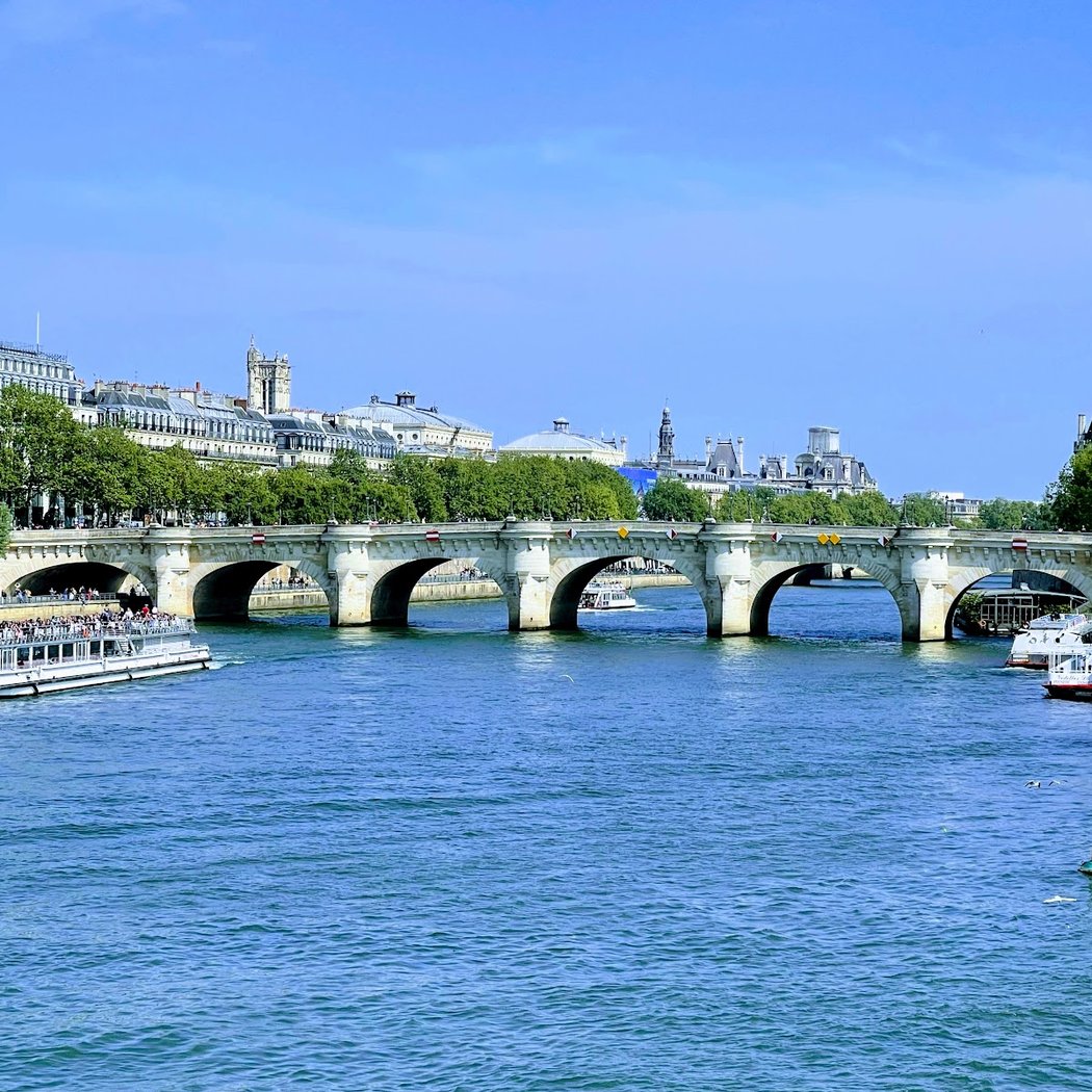 Pont-Neuf Transformation by French Artist 3