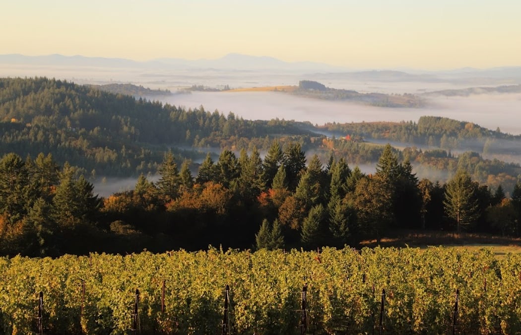 Yoga + Wine at Bryn Mawr Vineyards 2