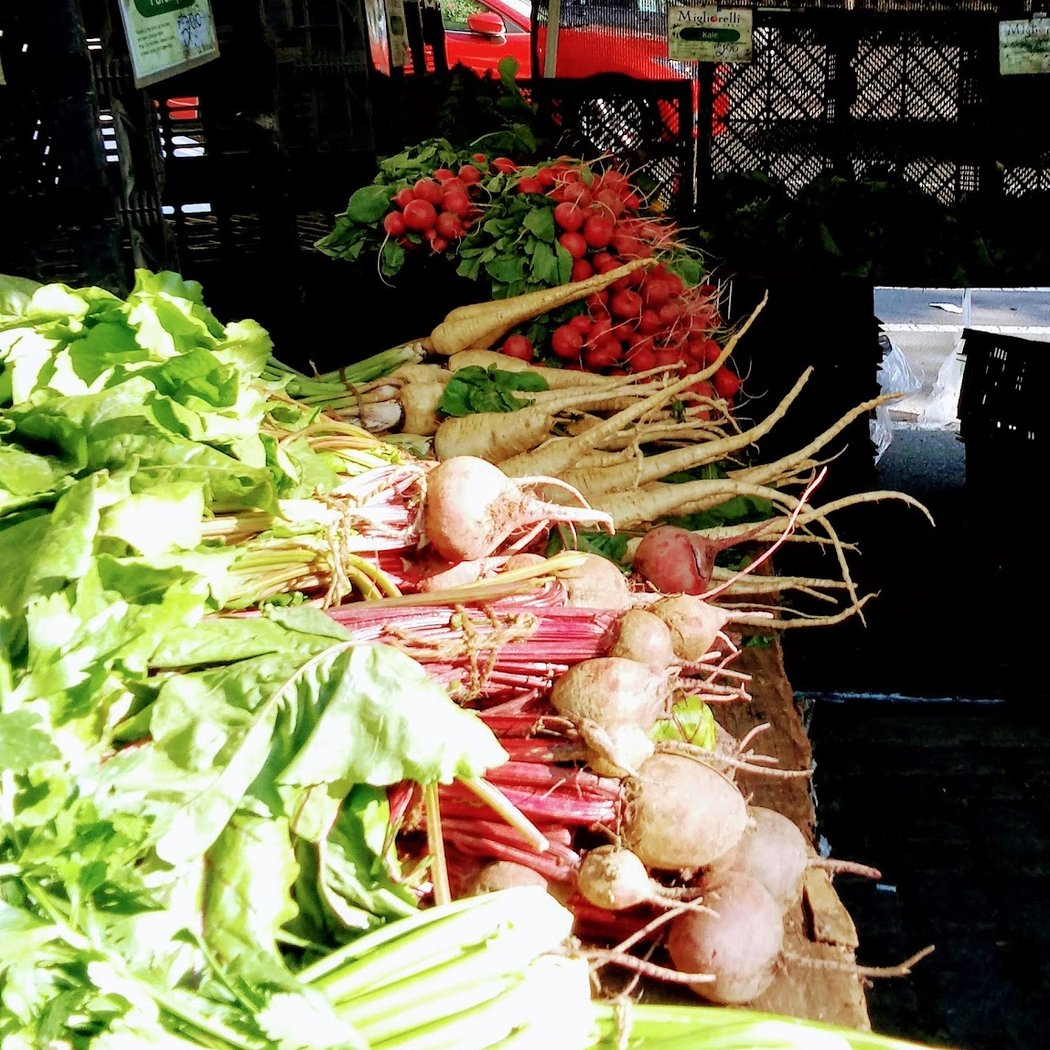 Bronx Borough Hall Farmers Market 1