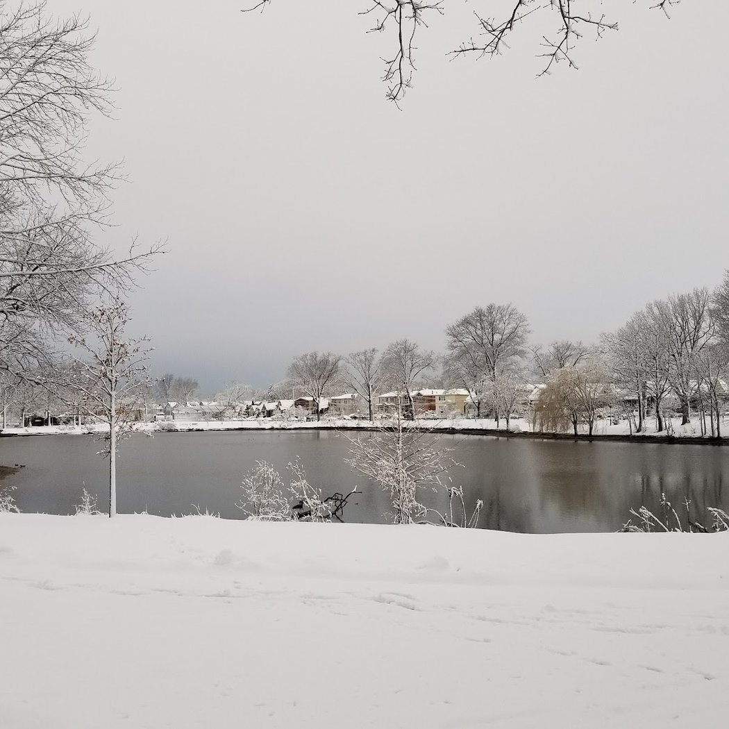 Birding: Winter Waterfowl 1