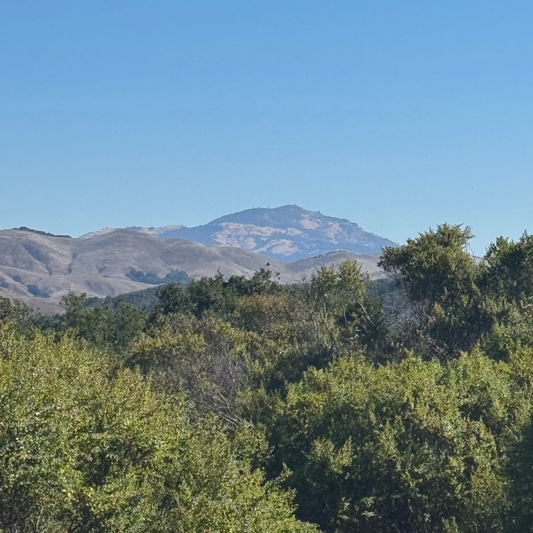Dinosaur ridge 2
