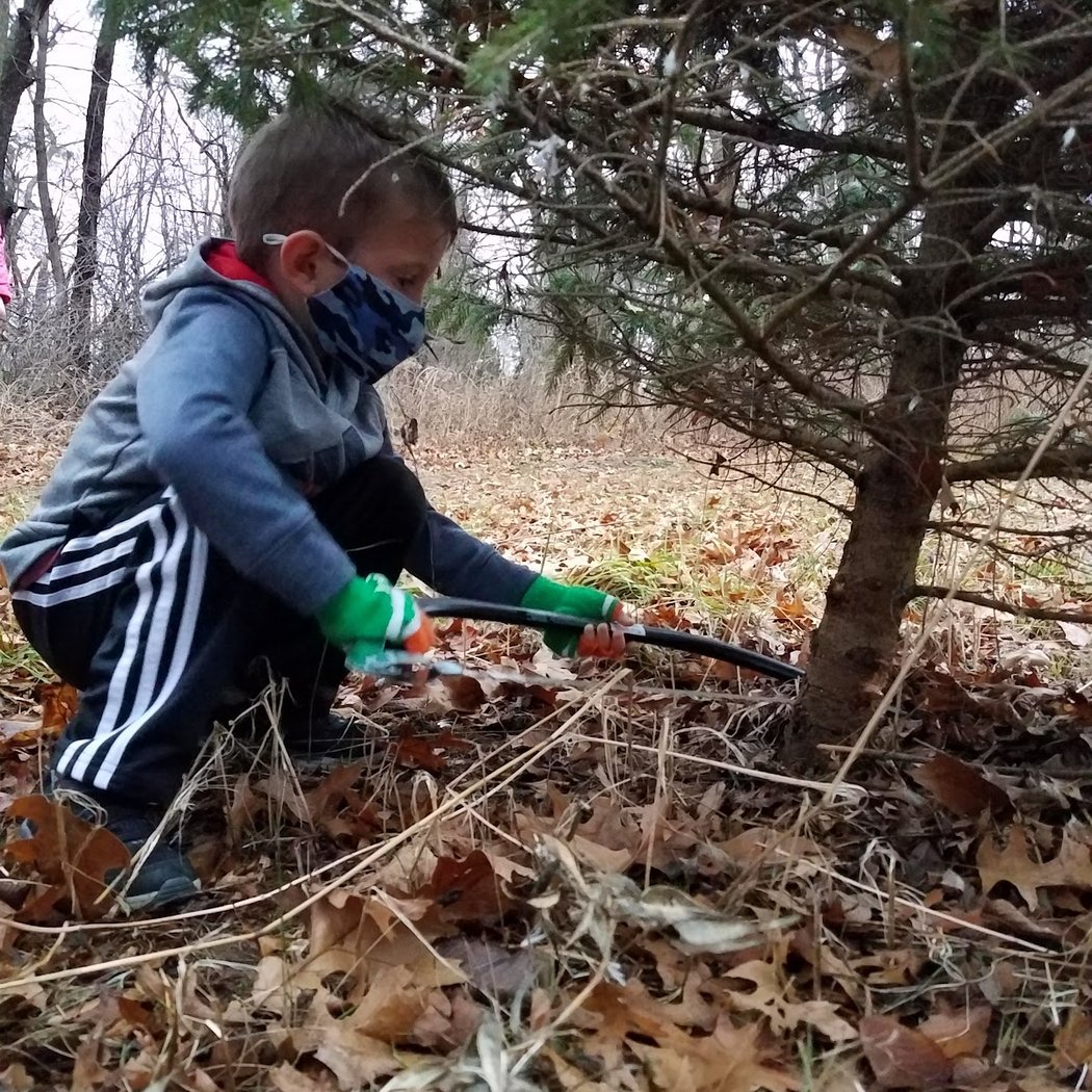 Middle Road Tree Farm 3