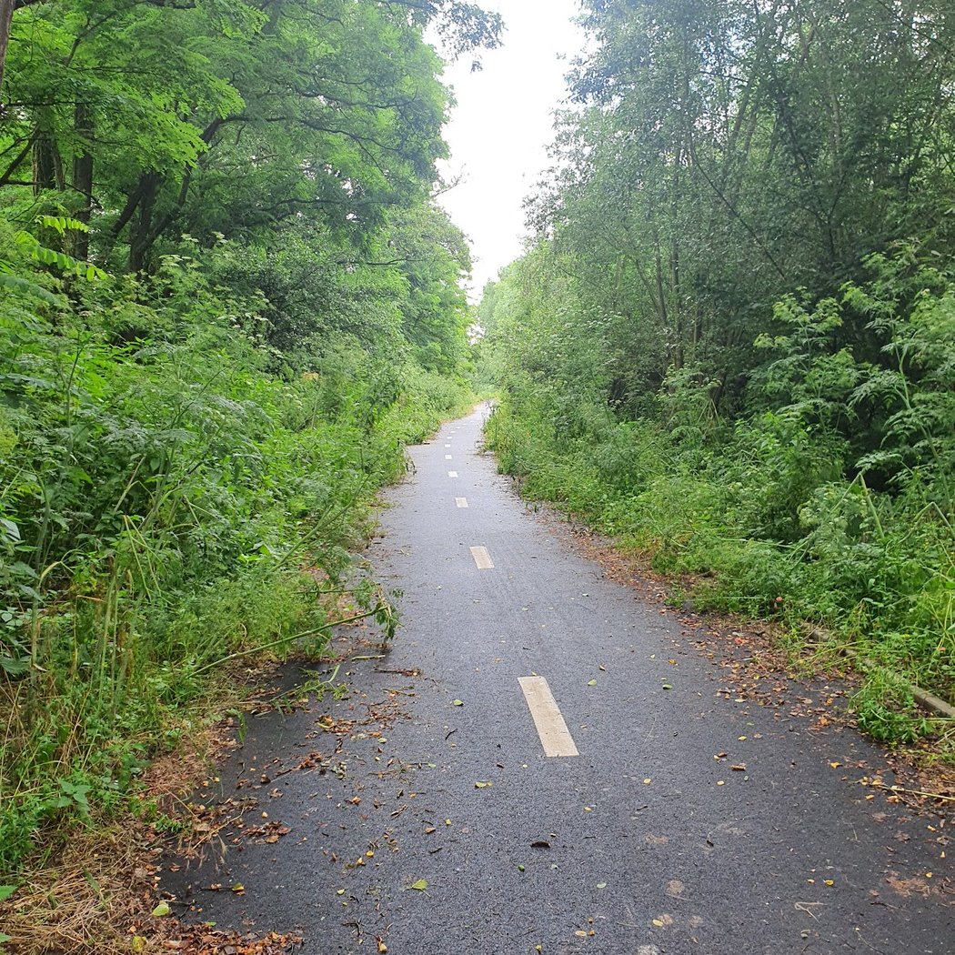 Elbe Cycle Route 3