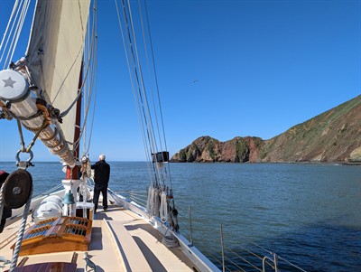 Sunday Wildlife Sail under the Golden Gate Bridge 2