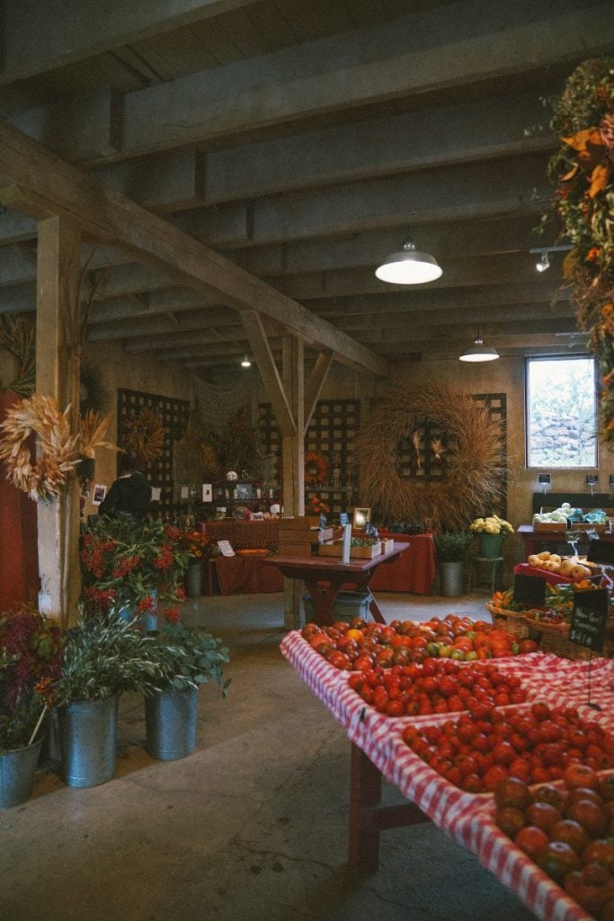 Oak Hill Farm 3