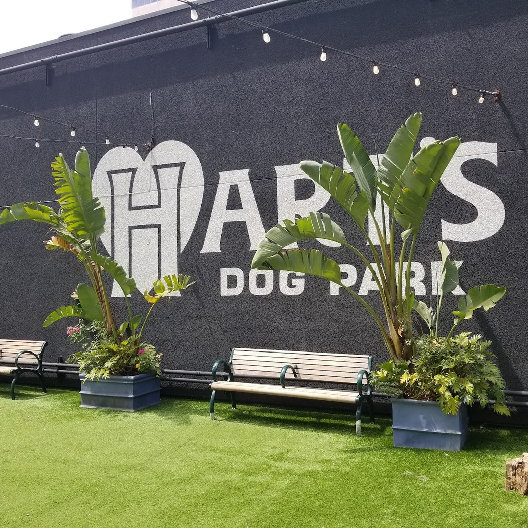 Hart's Dog Park 3